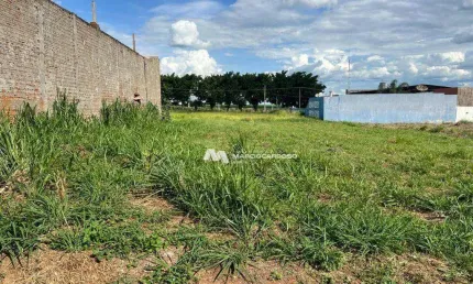 Terreno à venda, 1000 m² por R$ 420.000,00 - Loteamento Parque dos Pássaros - São José do Rio Preto/SP