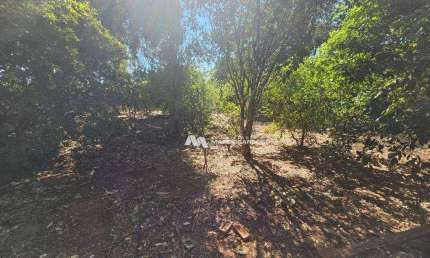Chácara à venda, 1000 m² por R$ 150.000,00 - Centro - Ipiguá/SP