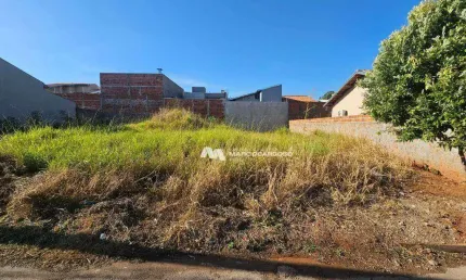 Terreno à venda, 320 m² por R$ 140.000,00 - Residencial Catelani - Bady Bassitt/SP