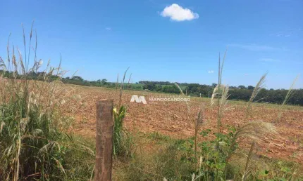 Área à venda, 96800 m² por R$ 1.800.000,00 - Condomínio Renascer - São José do Rio Preto/SP