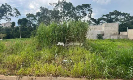 Terreno à venda, 200 m² por R$ 170.000,00 - Residencial Doutor João Tajara - São José do Rio Preto/SP