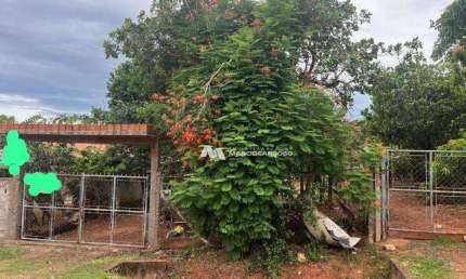 Chácara com 4 dormitórios à venda, 1000 m² por R$ 315.000,00 - Estância São Manoel (Zona Rural) - São José do Rio Preto/SP