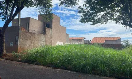 Terreno à venda, 200 m² por R$ 120.000,00 - Parque Vila Nobre - São José do Rio Preto/SP