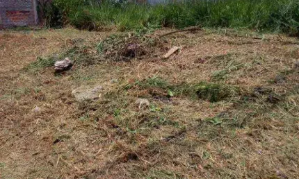 Terreno à venda, 200 m² por R$ 95.000,00 - São Thomas - São José do Rio Preto/SP