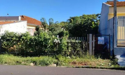 Terreno à venda, 220 m² por R$ 100.000,00 - Vila Falavina - São José do Rio Preto/SP