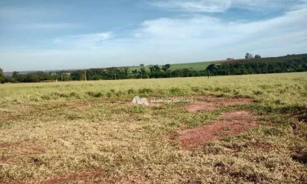 Sítio à venda, 121000 m² por r$ 2.000.000 - onda verde - onda verde/sp