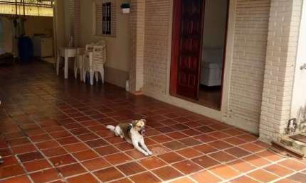 Casa com 3 quartos à venda na Rua Ribeirão Preto, Jardim do Trevo, Campinas, 178 m2 por R$ 550.000
