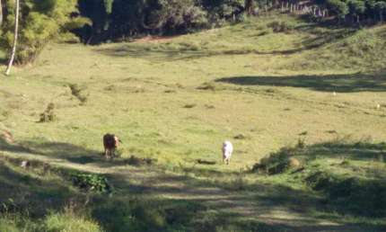 Chácara / sítio com 3 quartos à venda no Barrocão, Serra Negra  por R$ 2.400.000