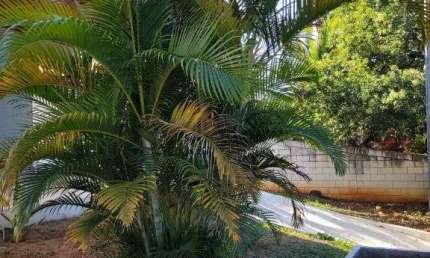 Casa em condomínio fechado com 3 quartos para alugar na Chácara São Rafael, Campinas , 235 m2 por R$ 3.800