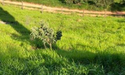 Terreno comercial à venda no Joaquim Egídio, Campinas  por R$ 365.000