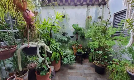 Casa com 3 quartos à venda no parque jambeiro, campinas , 238 m2 por r$ 650.000