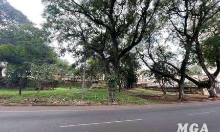 Terreno à venda, 1000 m² por R$ 1.100.000,00 - Centro - Foz do Iguaçu/PR