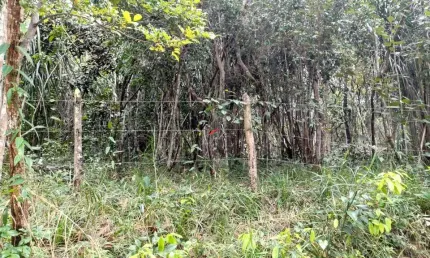 Terreno no loteamento Quintas do Castelo da Torre com viabilidade para  empreendimento imobiliário