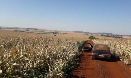 Terreno à venda na Avenida Iraí, 0, Água Boa, Paiçandu