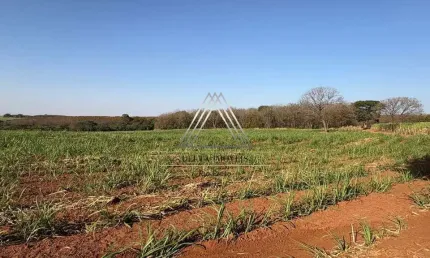 Sítio à venda em poloni-sp, bairro rural:, 433.422,00 m² de área. venha conferir!