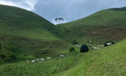 Fazenda à venda na Zona Rural, Bocaina de Minas 
