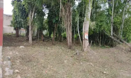Terreno para Venda em Caraguatatuba, Jardim das Gaivotas