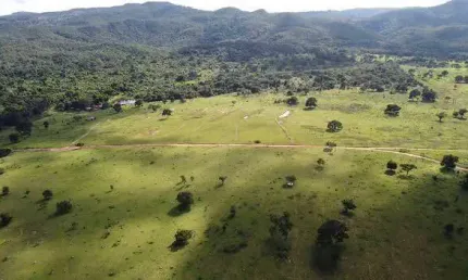 Fazenda com 1 sala à venda na Zona Rural, Ivolândia 