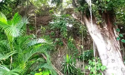 Lote/Terreno para venda tem 1500 metros quadrados em Taquara - Rio de Janeiro - RJ