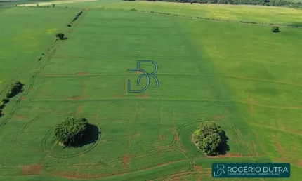 TERRENO INDUSTRIAL A VENDA EM LONDRINA - ÁREA INDUSTRIAL