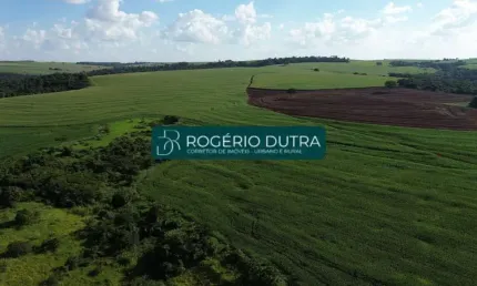 Fazenda à venda na Zona Rural, Área Rural de Londrina, Londrina