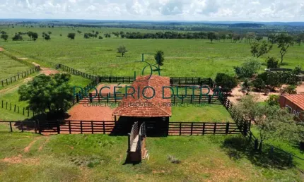 Fazenda à venda na Zona Rural, Zona Rural, Inocência
