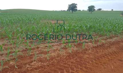 Fazenda à venda na Zona Rural, Zona Rural, Sertaneja