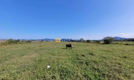 Terreno à venda em São Roque, Itajaí 