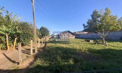 Terreno Comercial à Venda 12.225 m², Av. Doutor Reinaldo schmithausen, Itajaí