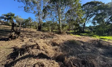 Terreno à venda na Rua Osvaldo Cruz, s/n, Tavares Feital, Ibiúna