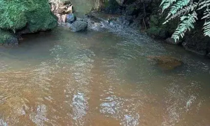 Chácara / sítio com 3 quartos à venda no Centro, Toledo 