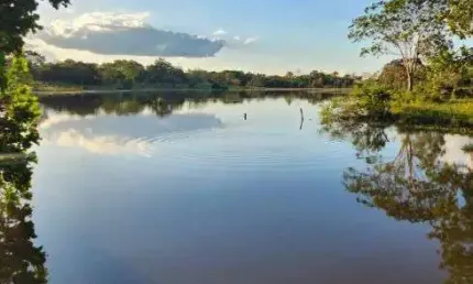 Chácara / sítio à venda na Rua 28, 229, Zona Rural, Araguaçu