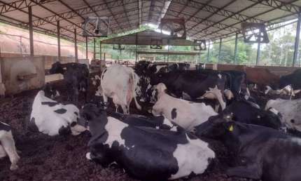 Imóvel para venda tem 510000000 metros quadrados com 4 quartos em Centro - Turvolândia - MG