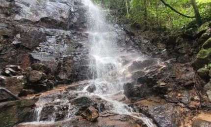 Terreno Rural com 1 alqueire e meio ( cerca de 36400 m2 ) com cachoeira e nascentes rico em água