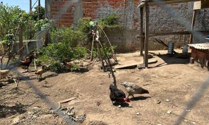 Chácara / sítio à venda na Rua das Glicínias, Chácara Iracema, Salto