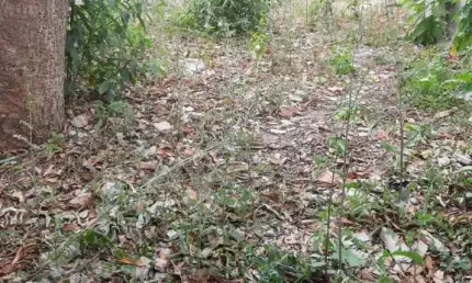 Terreno à venda no Jardim Adriane, Itaquaquecetuba  por R$ 165.000