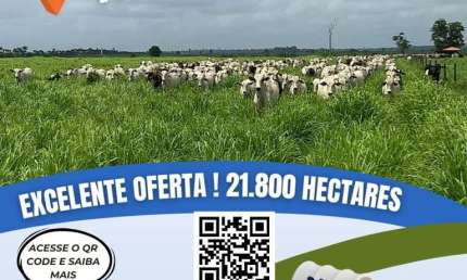 Fazenda para Venda em Itinga do Maranhão, Área Rural