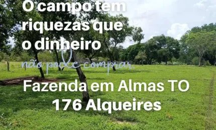 Fazenda à venda na Zona Rural, Almas 