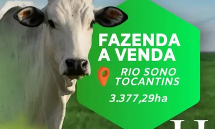 Fazenda à venda na Zona Rural, Rio Sono 