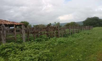 Fazenda à venda na rural, 3434, Centro, Ibotirama, 3422 m2 por R$ 3.500.000