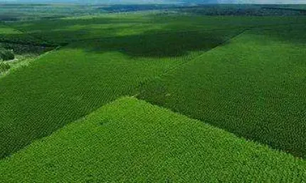 Fazenda à venda no Centro, São João do Paraíso , 15764 m2