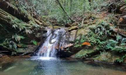 Fazenda à venda na rural, 1231, Centro, Rio Acima, 59000 m2 por R$ 2.000.000