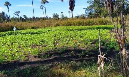 Fazenda à venda na Rural, 12323, Centro, Montalvânia, 17000 m2 por R$ 65.000.000