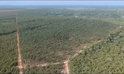 Fazenda à venda na rural, 00, centro, joão pinheiro, 2320 m2 por r$ 20.000.000