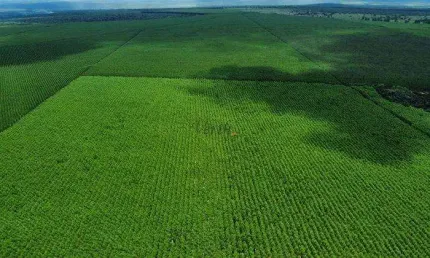 Fazenda à venda na Rural, Sn, Centro, São João do Paraíso, 15764 m2