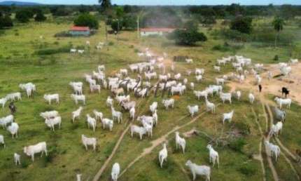 Fazenda à venda na José Barriga, 00, Centro, Rondonópolis, 2500 m2 por R$ 28.500.000