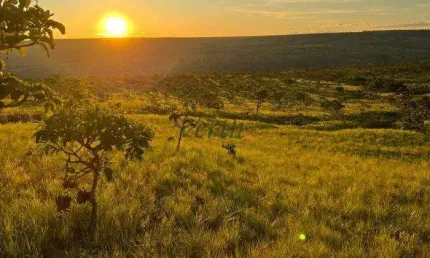 Fazenda à venda na Rural, Sn, Centro, Formoso, 1554 m2 por R$ 48.000.000