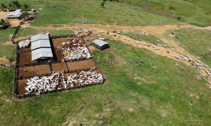 Fazenda à venda na Rural, 12222, Centro, Pacajá, 3100 m2 por R$ 38.400.000