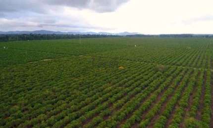 Fazenda à venda na Rural, SN, Centro, Itamaraju, 4185 m2