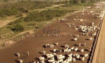 Fazenda à venda na Rural, Sn, Centro, Ibotirama, 20000 m2